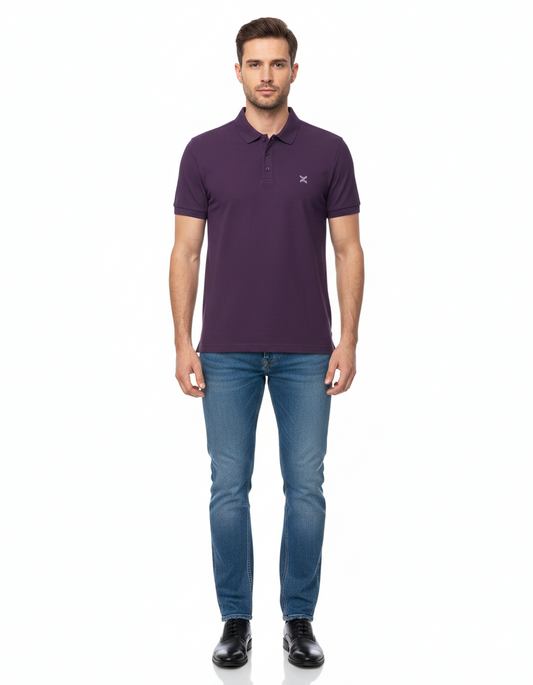 Men's Purple Solid Polo T-Shirt